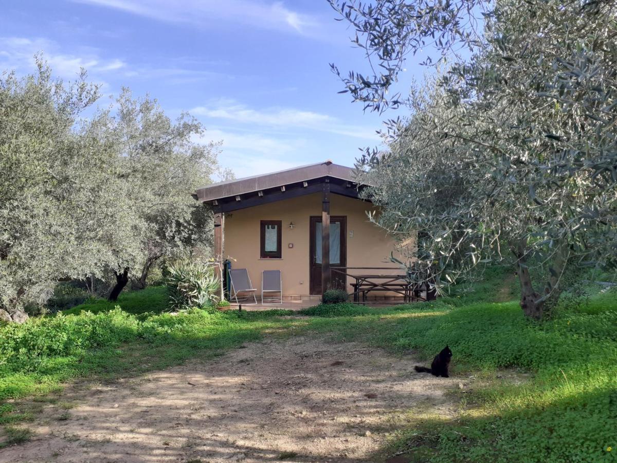 Agriturismo Terra Di Pace Noto Eksteriør billede