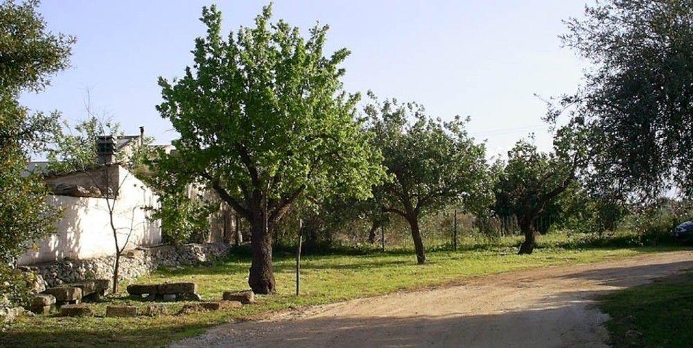 Agriturismo Terra Di Pace Noto Eksteriør billede