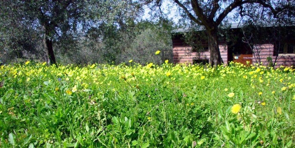 Agriturismo Terra Di Pace Noto Eksteriør billede
